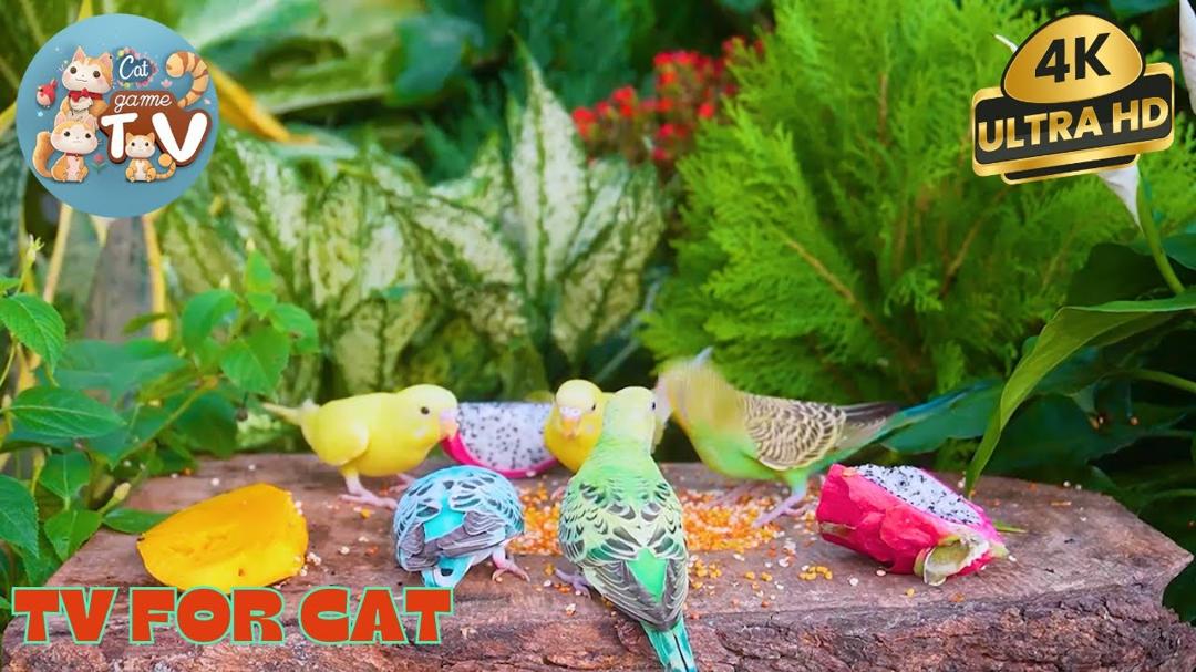 🔴😺Bustling Lunch Birds, Squirrels & Chipmunks 🦜! Live 12 Hour Cat TV Videos | 4K HDR ULTRA