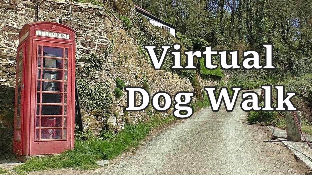 Relaxing TV for Dogs - Virtual Dog Walk with Gentle Music ✅