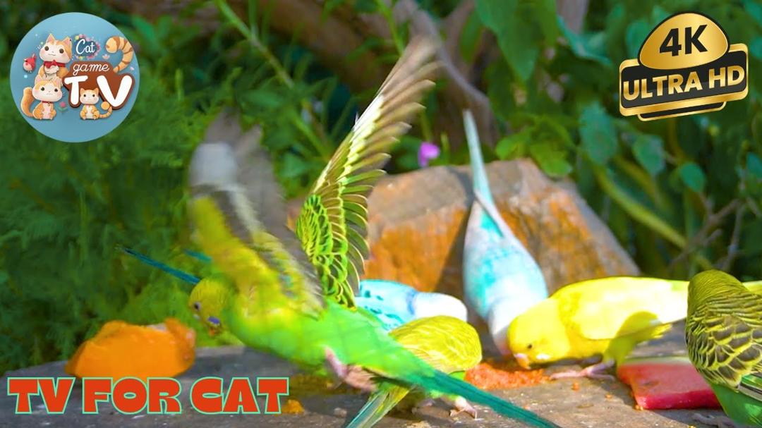 🔴😺Funny Birds, Squirres & Lovely Chipmunks 🦜!  Live 12 Hour Cat TV Videos | 4K HDR ULTRA