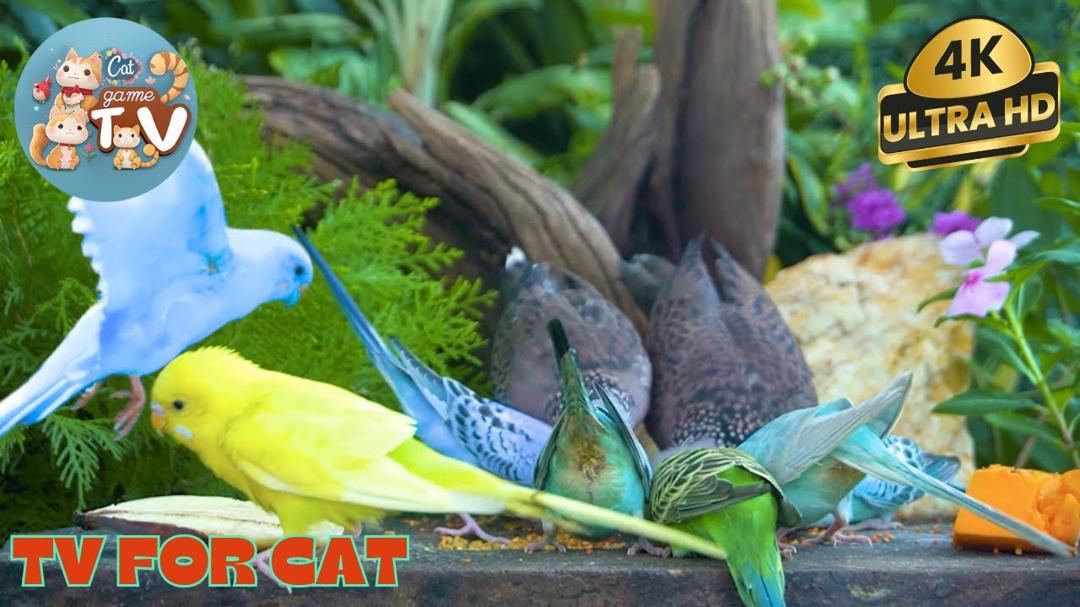 🔴😺Summer Delight🌞 Baby Birds Feasting in the Forest 🐦 Live 12 Hrs Cat TV for Pets & People